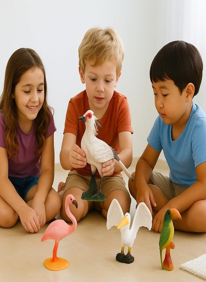 DTR Creation Pack of 6 Bird Figurines | Realistic Wild Bird Toys for Kids | Educational Animal Figures for Boys & Girls | Durable Plastic Miniature Birds for Learning, Projects & Home Décor - Image 5